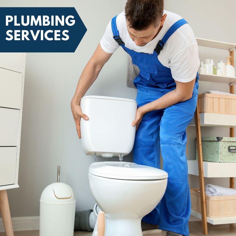 Plumbing Company in Meansville, GA